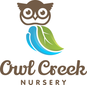 Owl Creek Nursery
