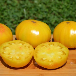 Tomato "Huge Lemon Oxheart"