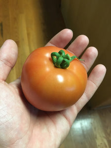 Tomato "Eva Purple Ball"