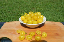Load image into Gallery viewer, Tomato &quot;Lemon Drop&quot;