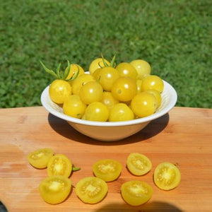 Tomato "Lemon Drop"