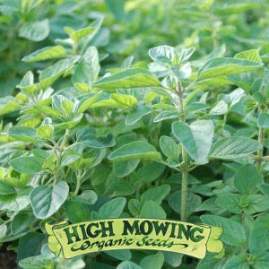 Image Source: High Mowing Organic Seeds. Used by Permission.